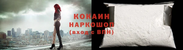 бошки Бородино