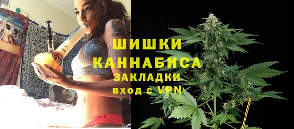 бошки Бородино