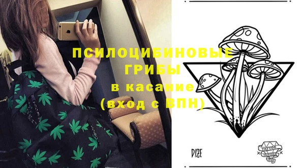 прущая мука Бронницы