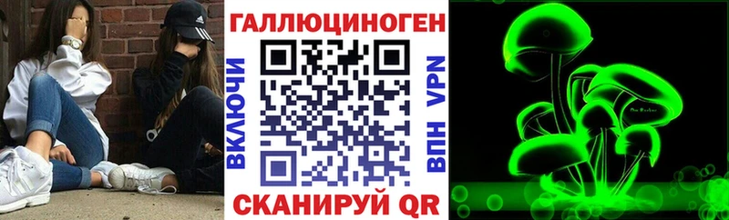 Купить  Новоузенск  Псилоцибиновые грибы Cubensis 