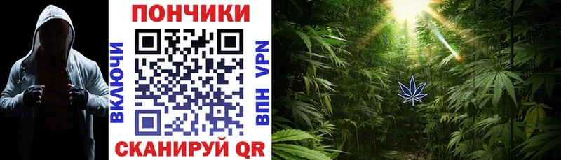 Бошки Шишки THC 21%  Купить где  Новоузенск 